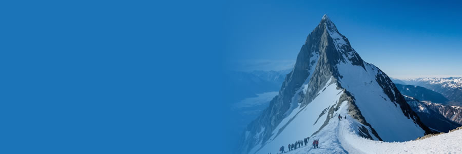 Vision d'entreprise